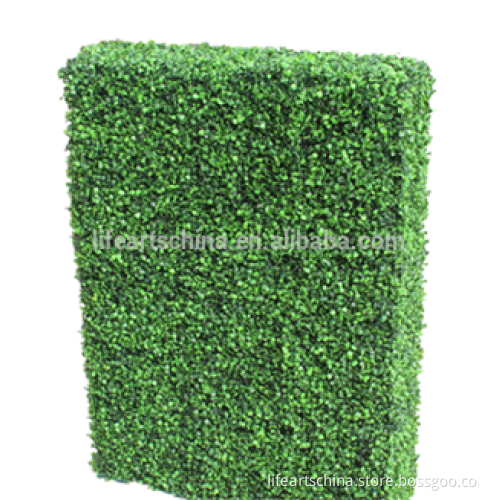 boxwood hedge, artificial grass, grass fence, grass wall
